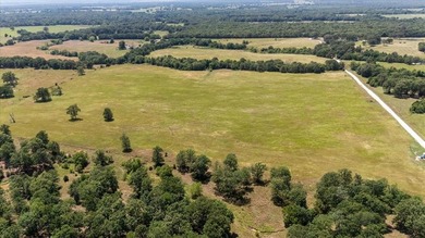 360 Acre Productive Cattle Ranch with large lodge and airplane - photo 46