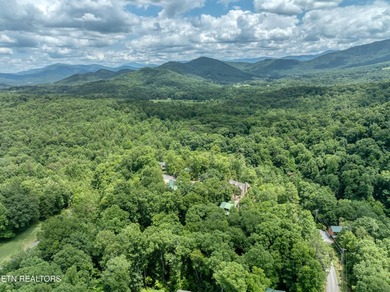 Located in the beautiful gated community of Laurel Valley, this - photo 47