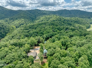 Located in the beautiful gated community of Laurel Valley, this - photo 49