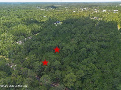 Undeveloped 2 lots with separate parcels must be sold together - - photo 2