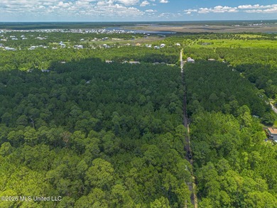 Undeveloped 2 lots with separate parcels must be sold together - - photo 6