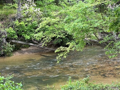 Lake Nottely Lot For Sale in Blairsville Georgia