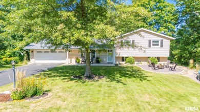 Lake Home For Sale in Groveland, Illinois