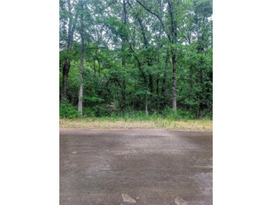 Lake Lot For Sale in Malakoff, Texas
