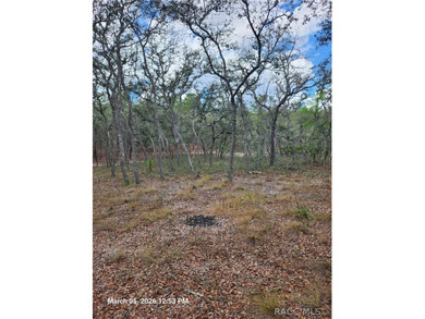 Take a look at the 360 view to get a better look at the layout - photo 2