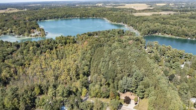 Dream location on the Waupaca Chain O' Lakes! Renovated Wingspan - photo 45