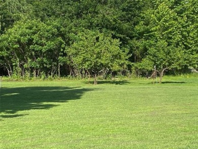 CHARMING HOME JUST MOMENTS AWAY FROM LAKE EUFAULA! It's located - photo 46