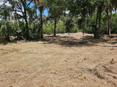 South Branch Manatee River  Lot For Sale in Ruskin Florida
