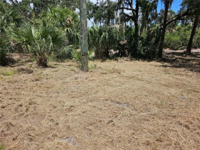 PERFECT SPOT TO BUILD A NEW STILT HOME SITTING RIGHT ON THE - photo 2
