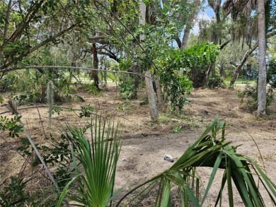 PERFECT SPOT TO BUILD A NEW STILT HOME SITTING RIGHT ON THE - photo 4
