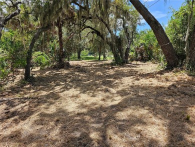 PERFECT SPOT TO BUILD A NEW STILT HOME SITTING RIGHT ON THE - photo 5