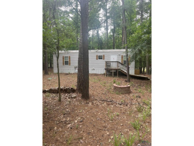 Lake Home For Sale in Mount Vernon, Texas