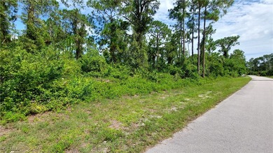 Lehigh Acres Area Lot For Sale in Lehigh Acres Florida