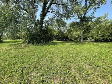 Large corner tier lot with Lake view! This lot is over 1/2-acre - photo 6