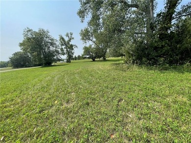 Large corner tier lot with Lake view! This lot is over 1/2-acre - photo 7
