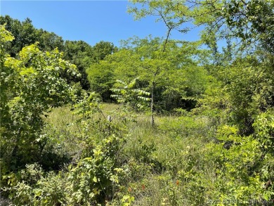 Mostly wooded acreage with an open, level, building site. Timber - Lake Acreage For Sale in Richland, Missouri