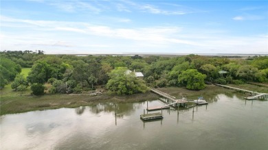 Lake Home For Sale in Townsend, Georgia