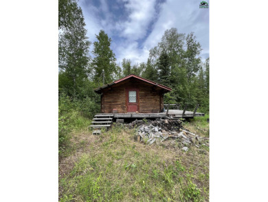 Harding Lake  Home For Sale in Salcha Alaska