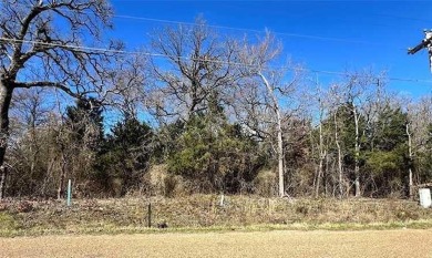 Cedar Creek Lake Lot For Sale in Mabank Texas