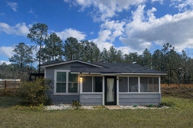 Lake Home For Sale in Naylor, Georgia