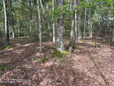 Conashaugh Lake Lot For Sale in Milford Pennsylvania
