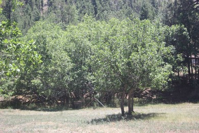 Sit by the Cimarron River and listen to it's secrets with a - photo 24