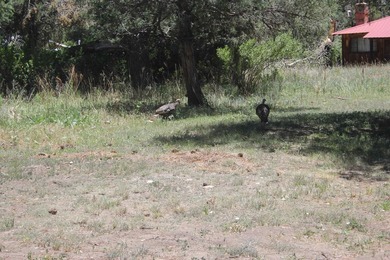 Sit by the Cimarron River and listen to it's secrets with a - photo 27