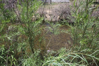 Sit by the Cimarron River and listen to it's secrets with a - photo 30
