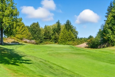 Golfer's  Luxurious dream home - photo 27