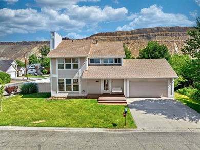 Colorado River Home For Sale in Palisade Colorado