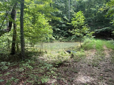 Are you looking for a great place to build your forever home or - photo 4