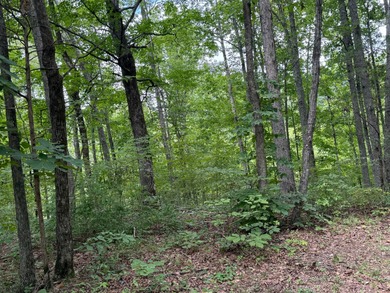 Are you looking for a great place to build your forever home or - photo 9