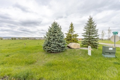 Yellowstone River Acreage For Sale in Park City Montana