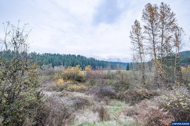 Set on 32.34 private acres, this true horse property features a - photo 27