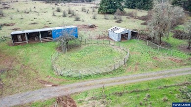 Set on 32.34 private acres, this true horse property features a - photo 33