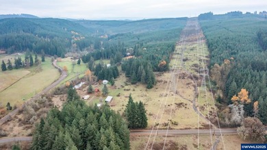 Set on 32.34 private acres, this true horse property features a - photo 40