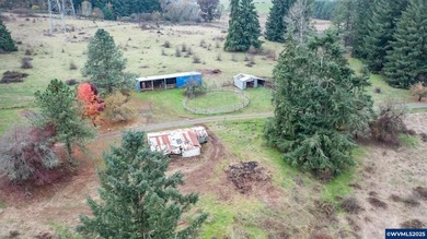 Set on 32.34 private acres, this true horse property features a - photo 42