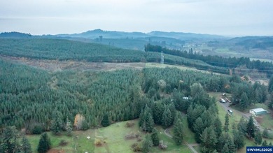 Set on 32.34 private acres, this true horse property features a - photo 43