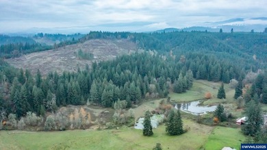 Set on 32.34 private acres, this true horse property features a - photo 44