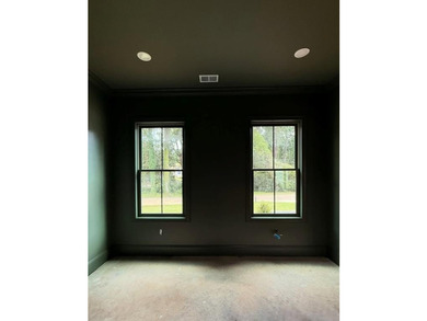 Experience elevated living in this stunning new construction - photo 7