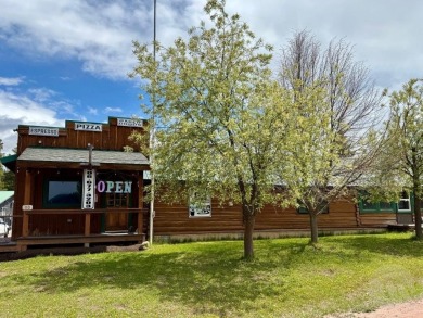 Lake Commercial For Sale in Other-See Remarks, Montana