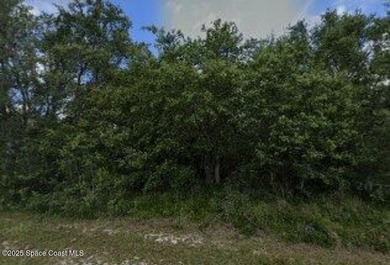 Lake Marion - Polk County Lot For Sale in Poinciana Florida