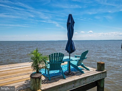 (private lake, pond, coastal) Home For Sale in Baltimore Maryland