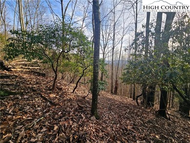 (private lake, pond, coastal) Lot For Sale in Grassy Creek North Carolina