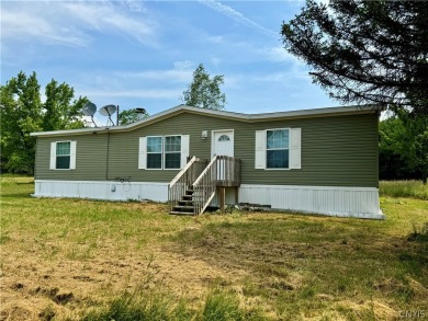 Lake Home For Sale in German, New York