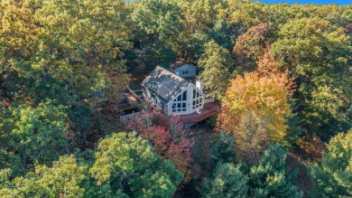 Lake Home For Sale in Branch, Michigan