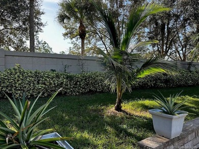 NEW TIKI RE-THATCH JULY 2025! This extra-wide lot, positioned - photo 5