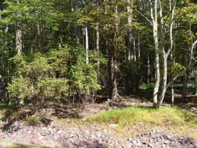 Lake Lot For Sale in Lake Ariel, Pennsylvania