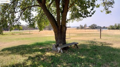 2 houses for the price of 1, Welcome to 1400 and 1408 Riosa rd - photo 52