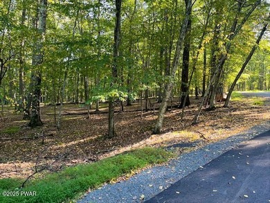 Fawn Lake Lot For Sale in Lackawaxen Pennsylvania